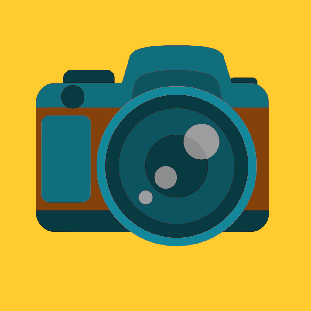 Digital Camera Illustration